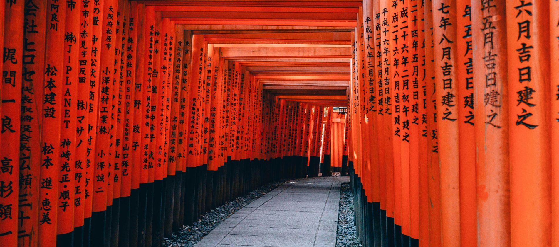 Qué llevar en la maleta para viajar a Japón. [Checklist 2026]