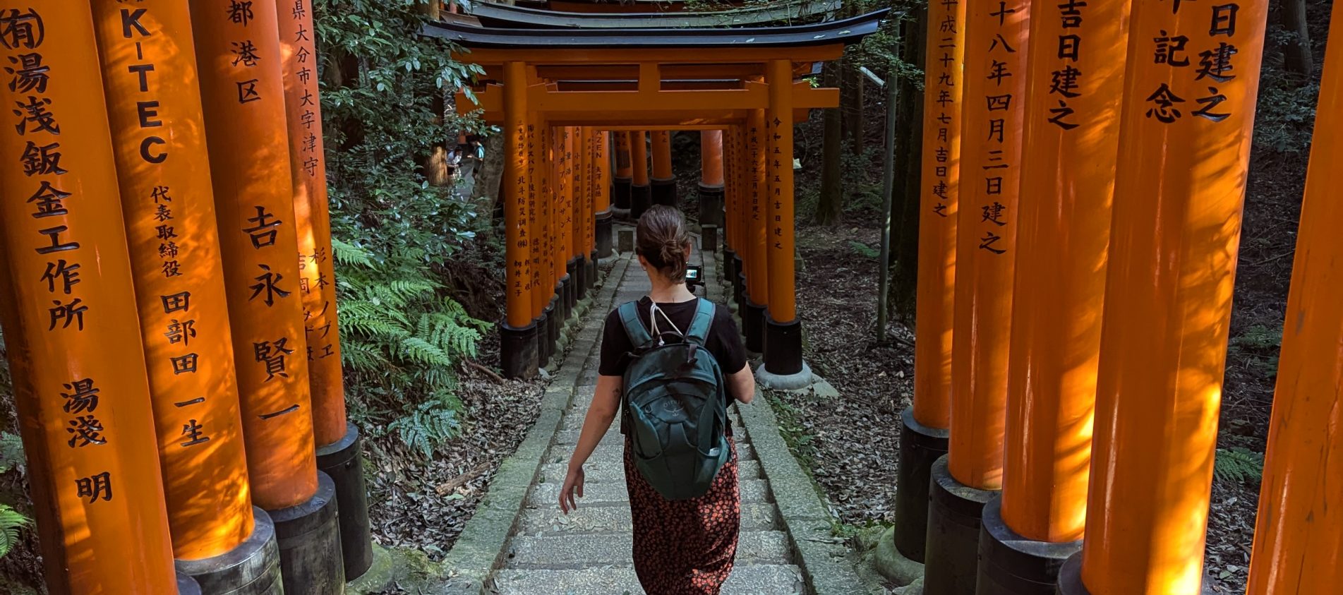viajar solo a japon