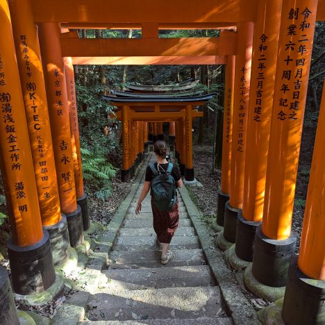 viajar solo a japon