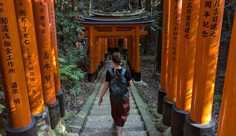 viajar solo a japon