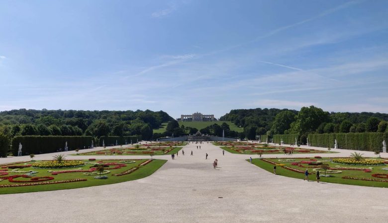 donde comer en viena