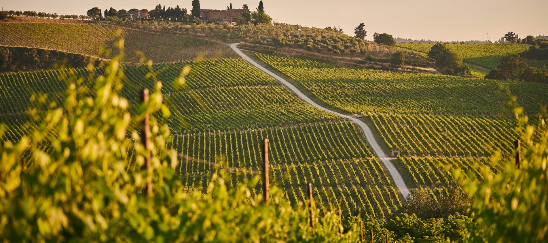 ruta por la toscana