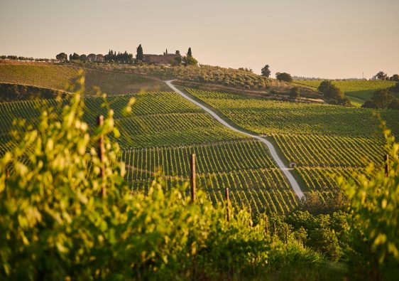 ruta por la toscana