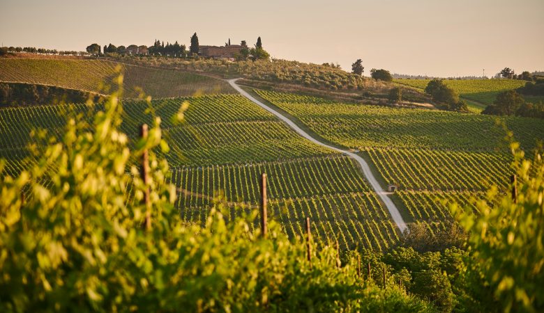 ruta por la toscana
