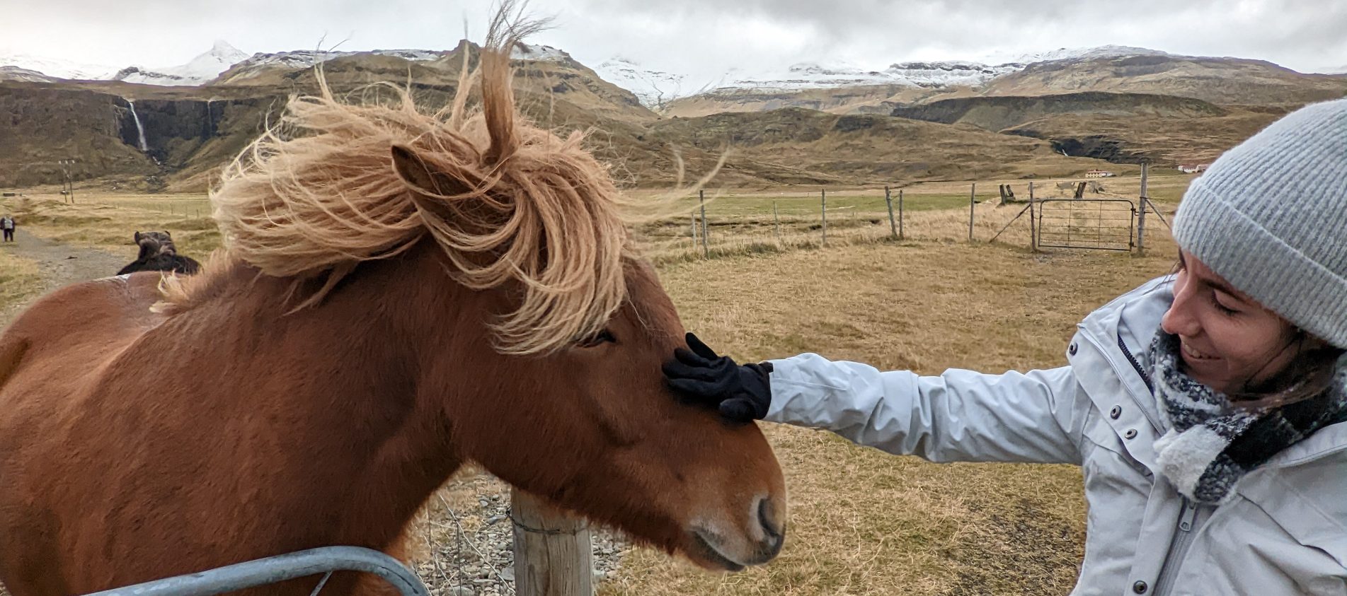 ring road islandia