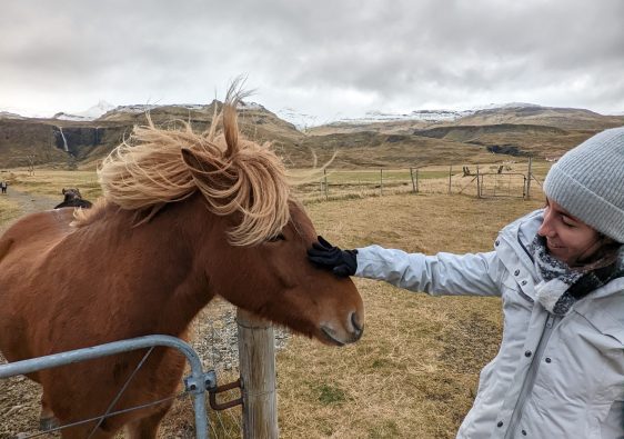 ring road islandia