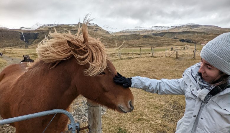 ring road islandia