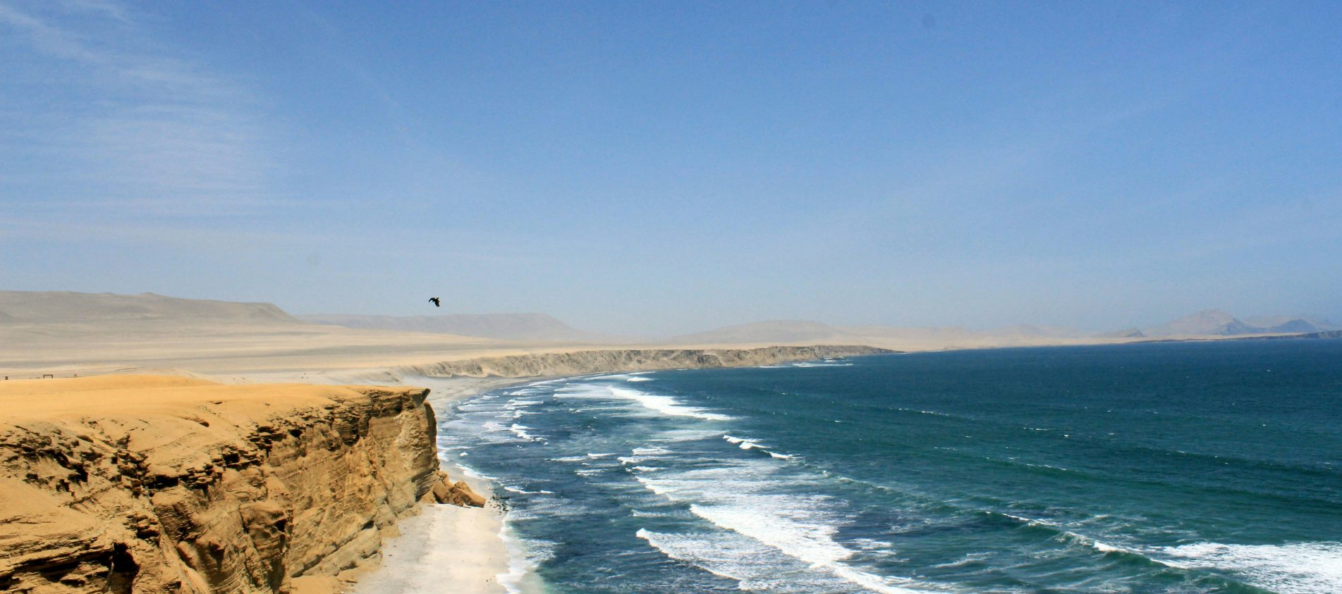 paracas peru
