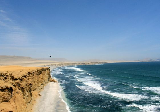 paracas peru