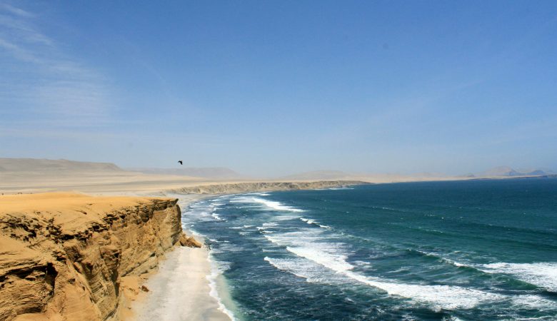 paracas peru