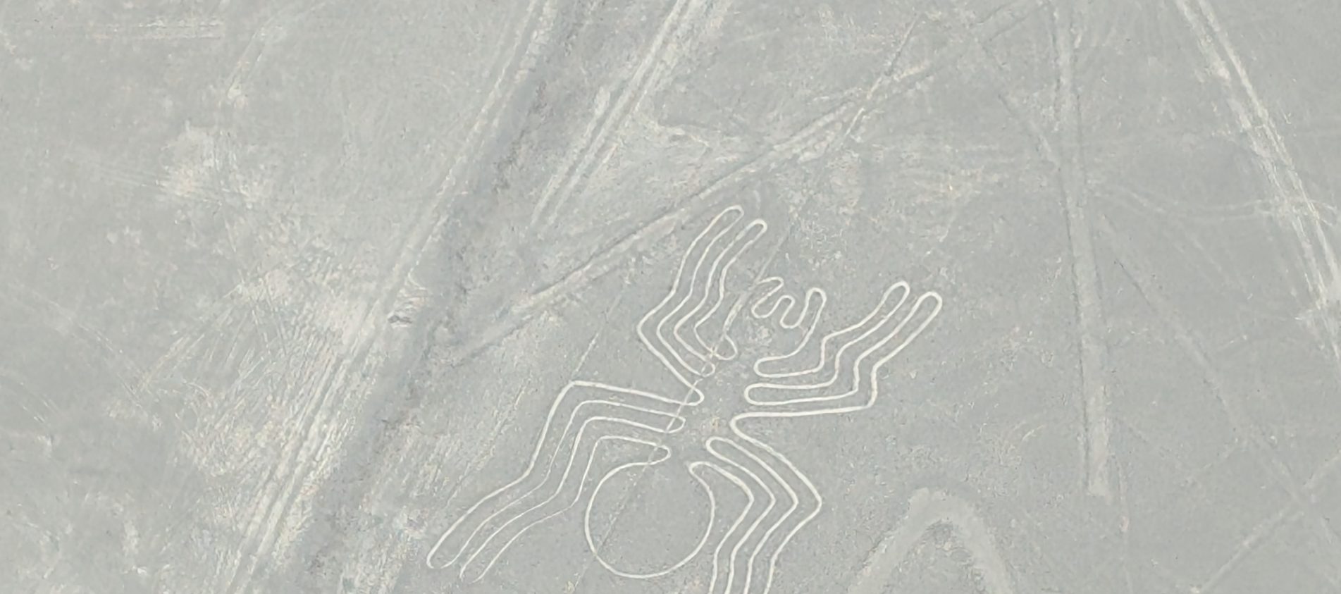 experiencia volar lineas de nazca