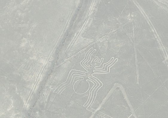 experiencia volar lineas de nazca
