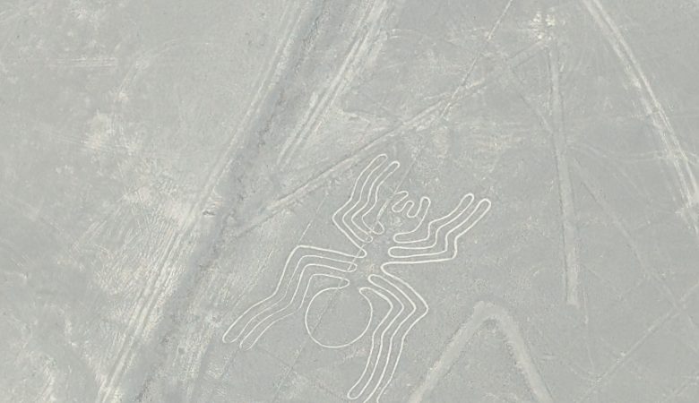 experiencia volar lineas de nazca
