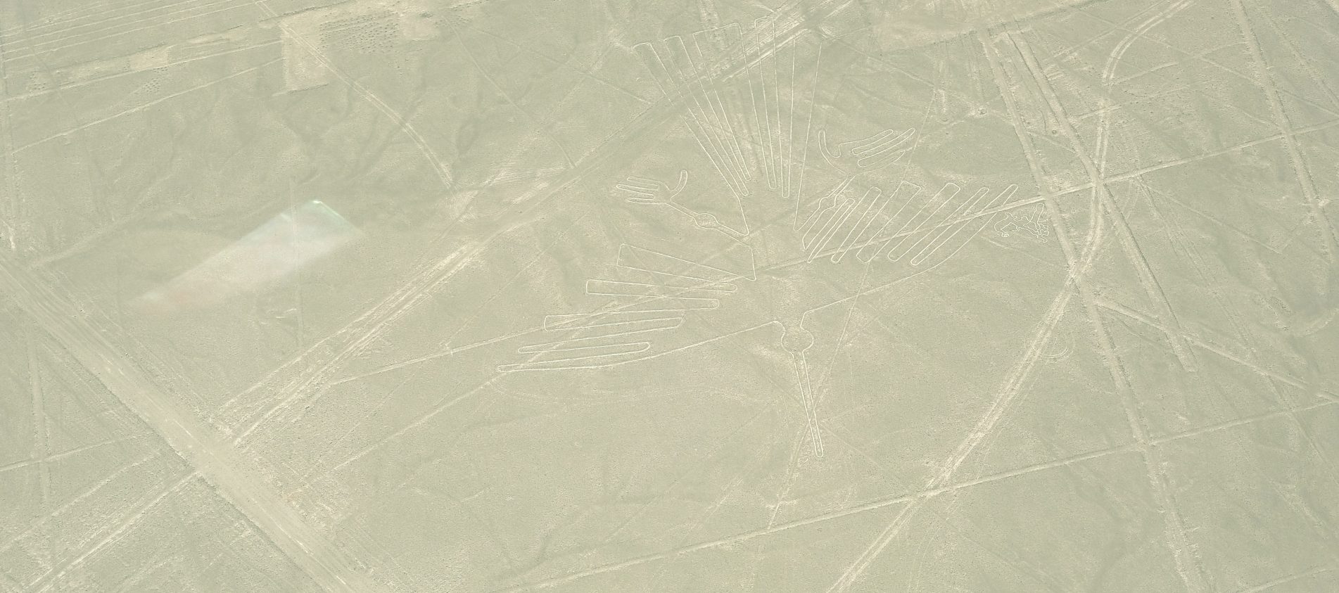 lineas de nazca