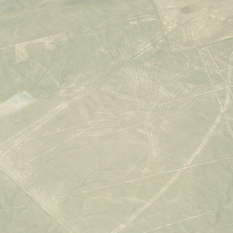 Día 4 en Perú: Islas Ballestas – Ica – Huacachina
