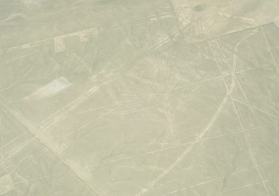 lineas de nazca