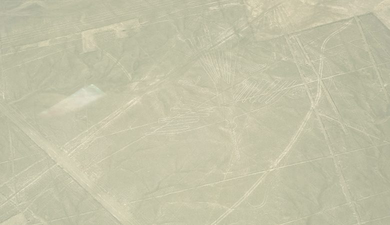 lineas de nazca